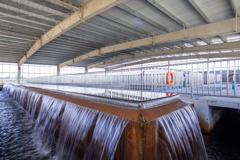 怎么保养多功效微型过滤机？？？？？？？